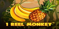 Play 1 Reel Monkey Online