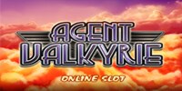 Play Agent Valkyrie Online