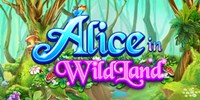 Play Alice in WildLand Online