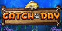 Play Catch of the Day Online