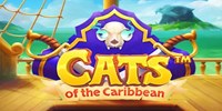 Play Cats of the Caribbean Online
