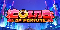 Play Coins of Fortune Online