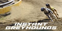 Play Instant Greyhounds Online