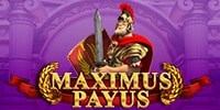 Play Maximus Payus Online