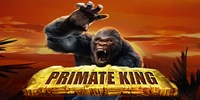 Play Primate King Online