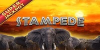 Play Stampede Super Jackpot Online