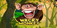 Play Wacky Monkey Online
