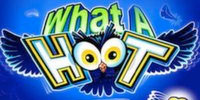 Play What A Hoot Online