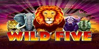 Play Wild Five Online