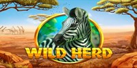 Play Wild Herd Online