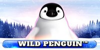 Play Wild Penguin Online